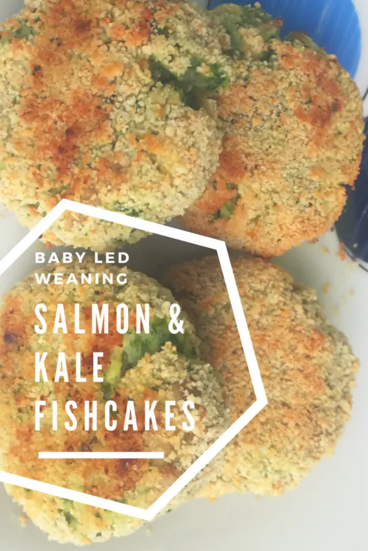 Salmon Baby Led Weaning (+Recipes) - ThrivingNest