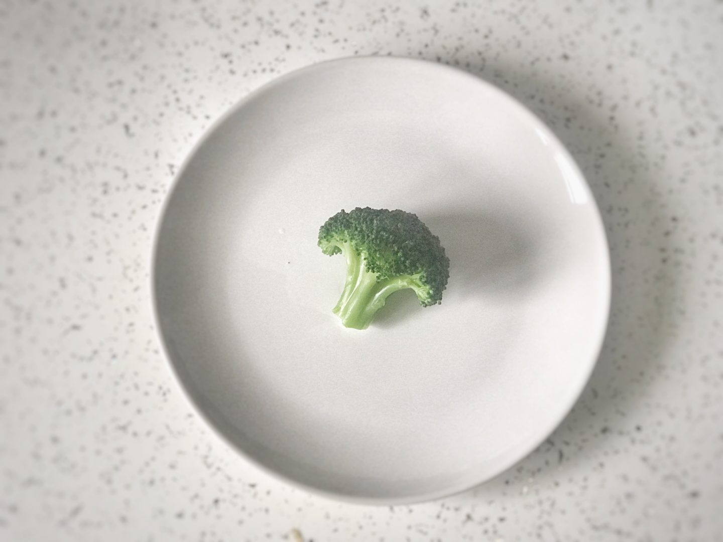 one floret of broccoli on a white plate