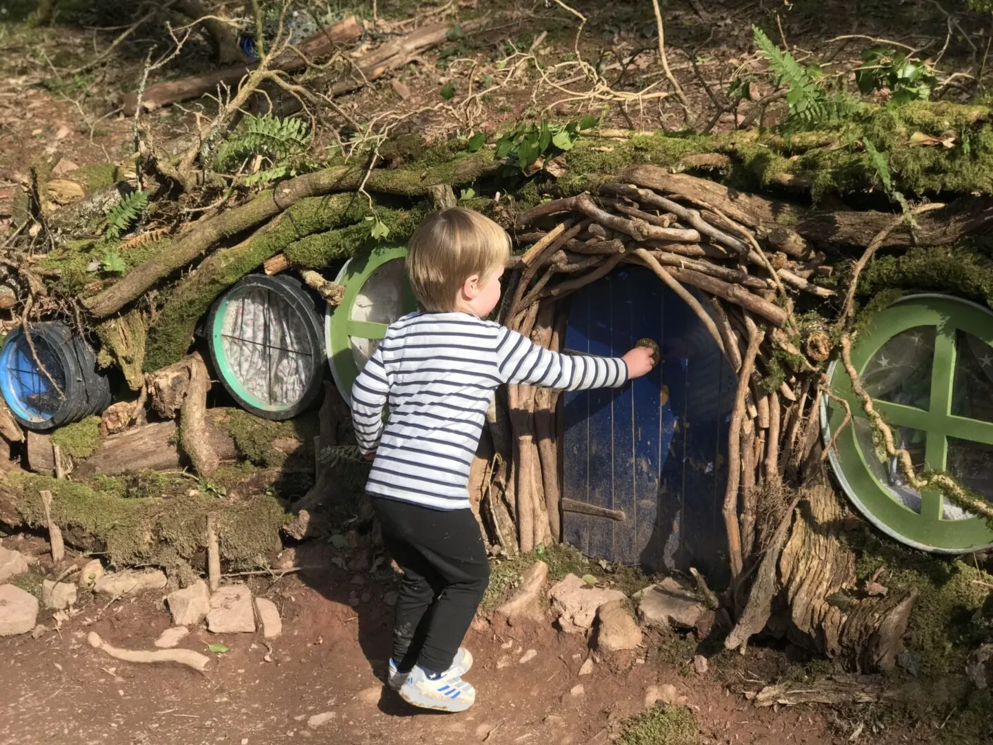 Dexter knocking on a fairy door in the enchanted forest in bluestone