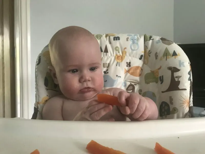 Felix on his highchair holding a carrot baton