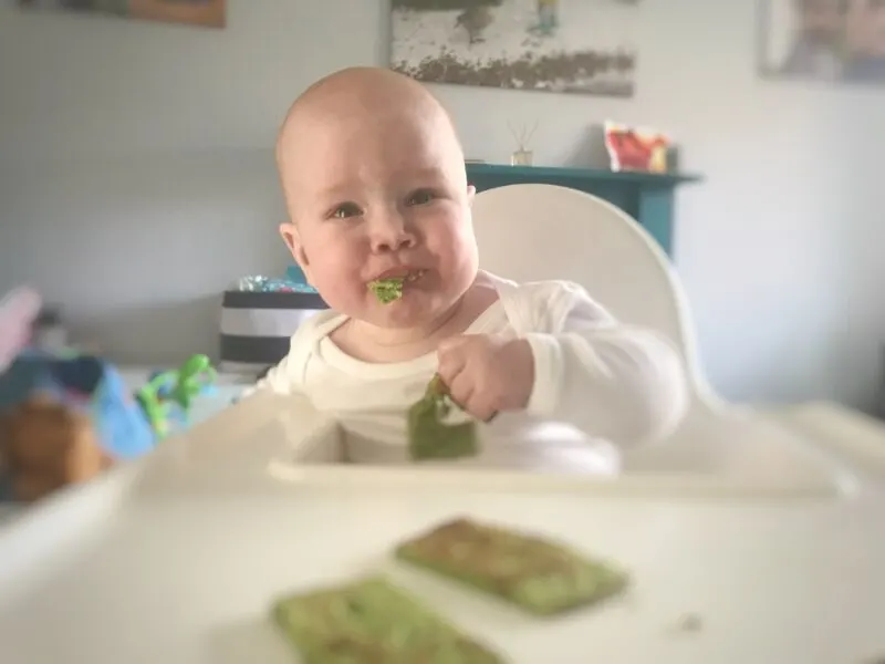 Felix eating baby Led weaning spinach pancakes while sat in his Ikea antilop highchair