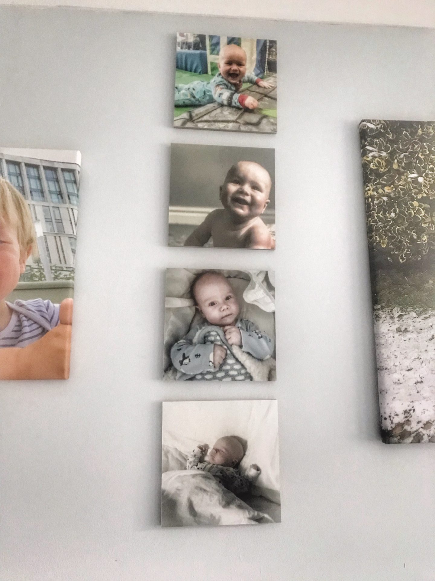 MixPix tiles featuring Felix in a column on lounge wall