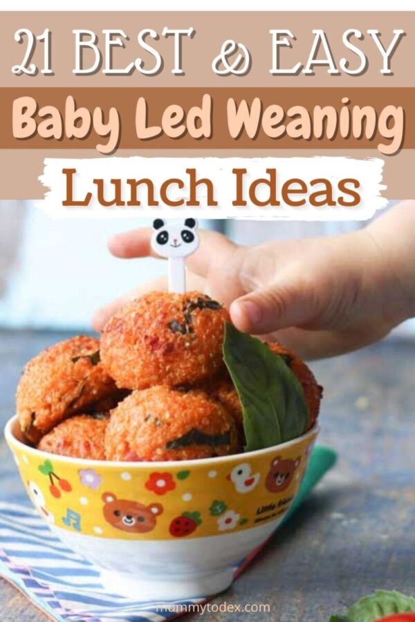 Baby Led Weaning Lunch Ideas Baby Led Weaning Lunch Recipes