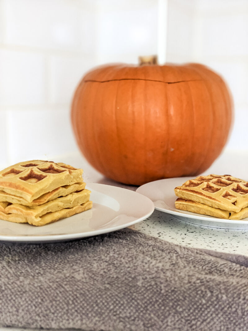 Pumpkin waffles on the plate for baby and toddler