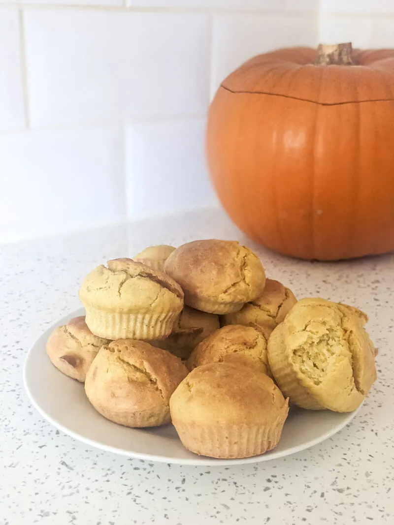 baby led weaning pumpkin muffins sat on white plate infront of a pumpkin