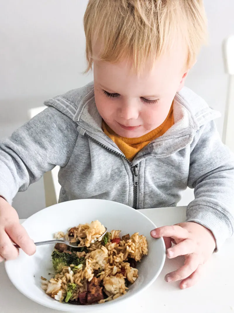 felix eating tofu fried rice