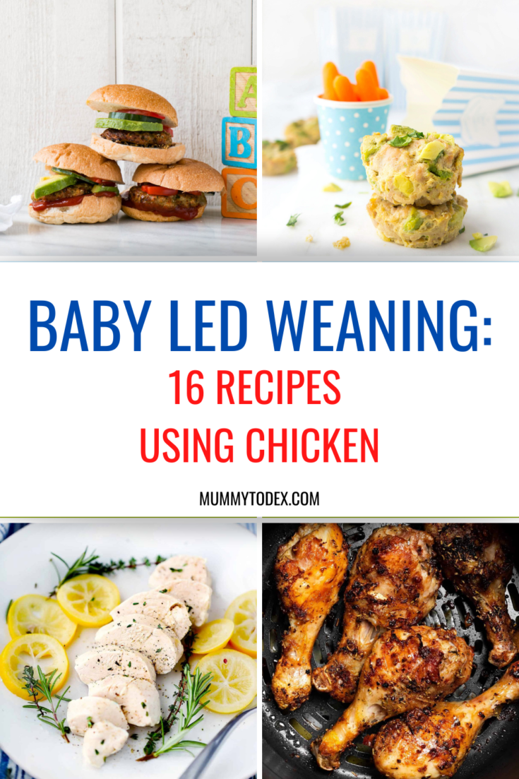 baby-led-weaning-chicken-recipes-16-blw-chicken-ideas