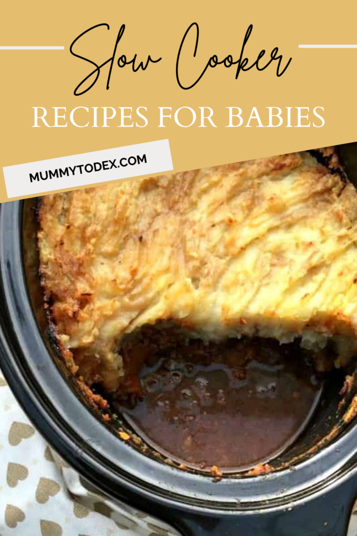 Baby Led Weaning Slow Cooker Recipes Mummy to Dex