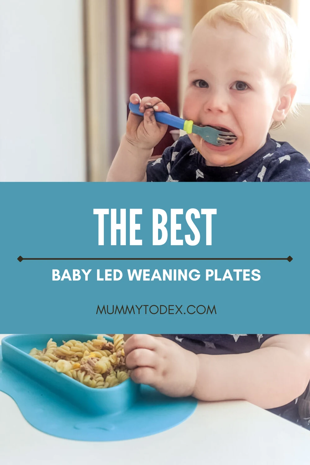 Best Baby Tableware Essentials for Self-feeding Baby