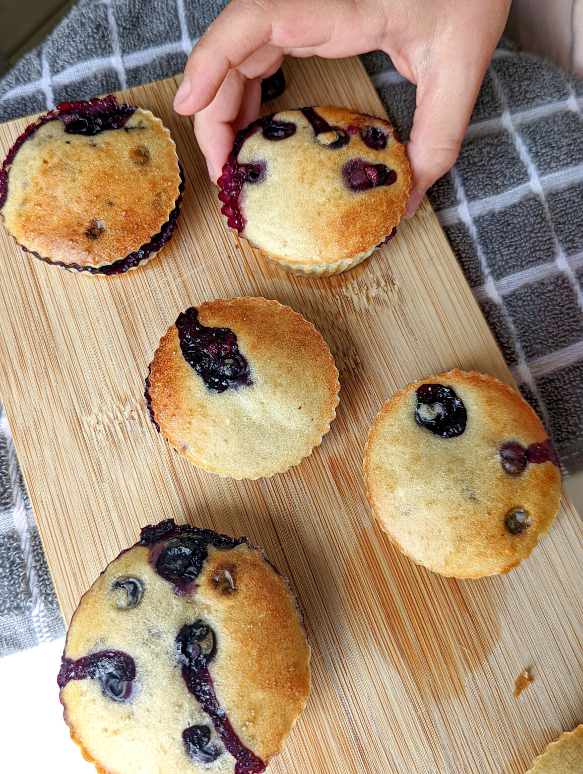 baby-led-weaning-muffins-blueberry-mummy-to-dex