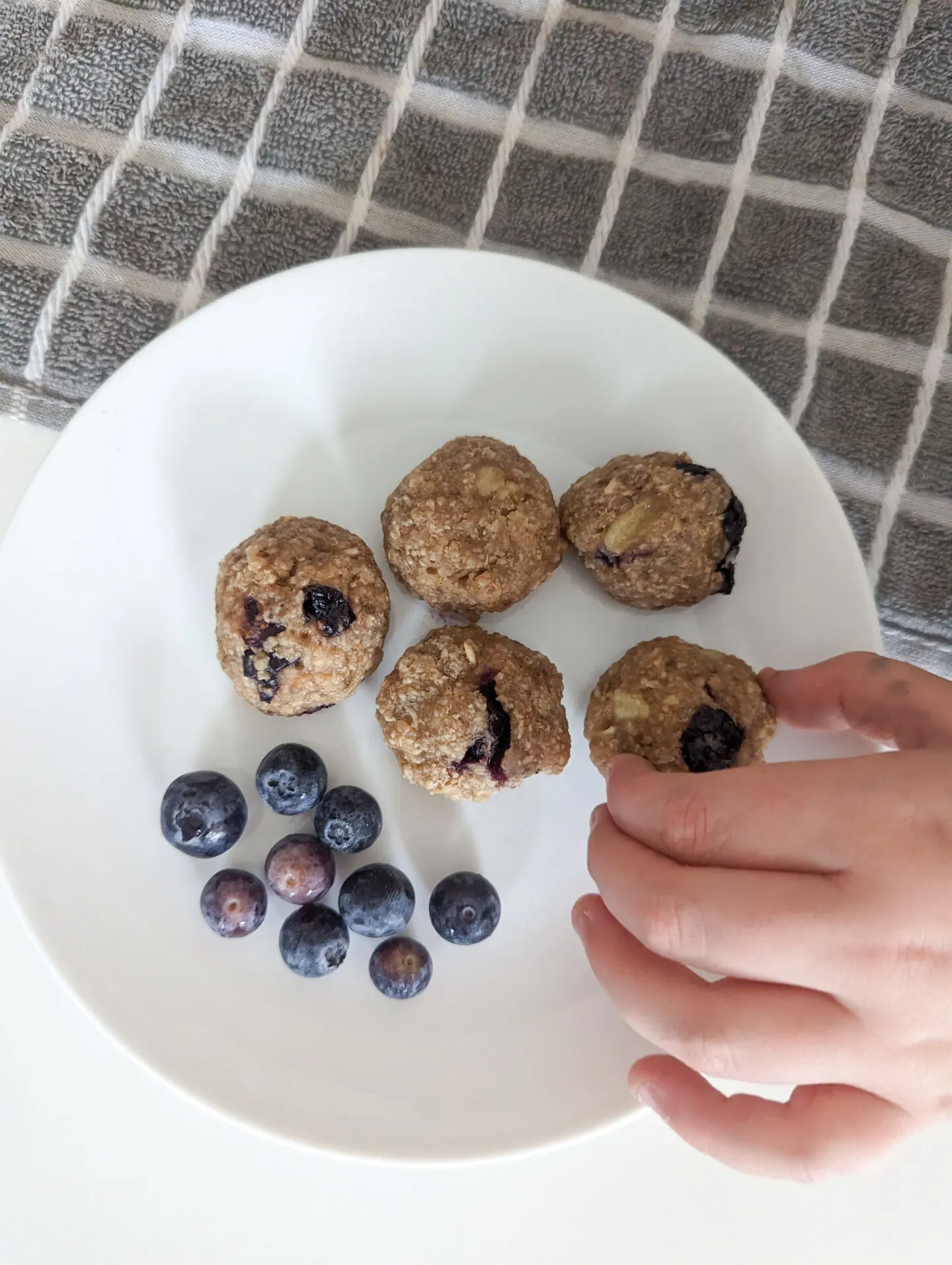 baby led weaning blueberry oat bites