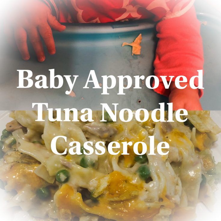 Image for Baby Approved Tuna Noodle Casserole